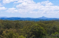 5 Johnston Place, Buderim, Qld 4556