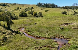 911 Dalrymple Rd, Dalrymple Heights, Qld 4757