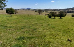 911 Dalrymple Rd, Dalrymple Heights, Qld 4757