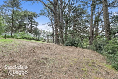 /international/au/1455-grand-ridge-road-trida-vic-205264695/