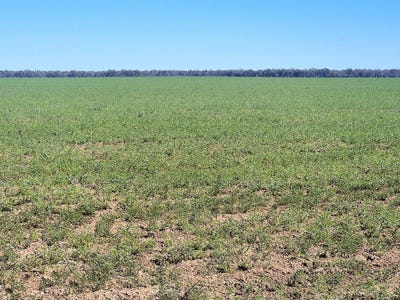 /international/au/5358-mercadool-road-collarenebri-nsw-7998515/