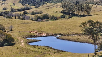 /international/au/911-dalrymple-rd-dalrymple-heights-qld-7998479/