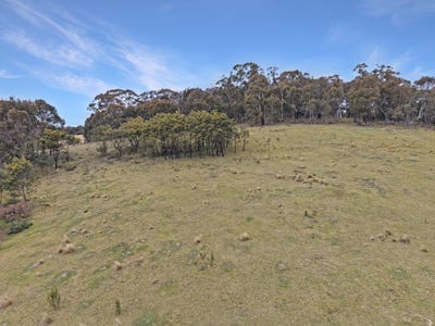 /international/au/52-wilson-drive-oberon-nsw-7998523/