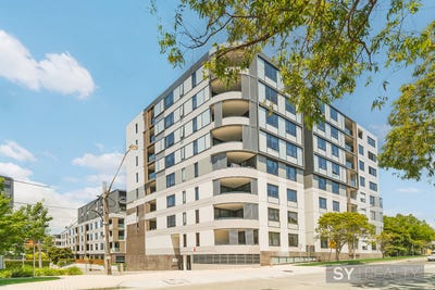 /international/au/lewisham-nsw-143843516/