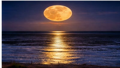 /international/au/14-cable-beach-road-west-cable-beach-wa-205264431/