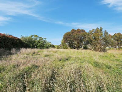 /international/au/90-white-kangaroo-road-campania-tas-205264531/