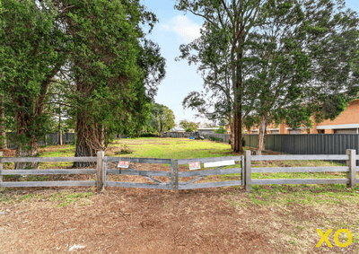 /international/au/1a-boonal-street-singleton-nsw-205264427/