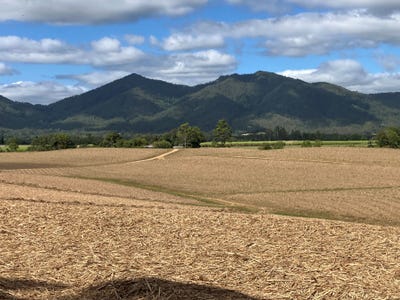 /international/au/lot-4-primroses-road-finch-hatton-qld-7998535/