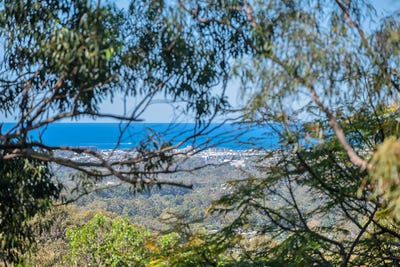 /international/au/2-170-174-mooloolaba-road-buderim-qld-152050660/