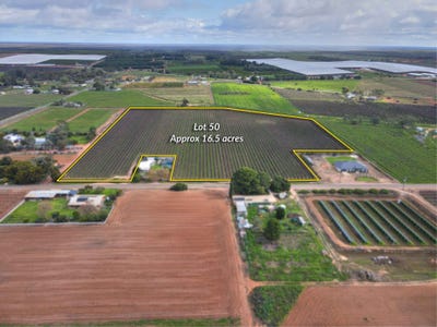 /international/au/lot-50-chowilla-street-renmark-sa-205264875/