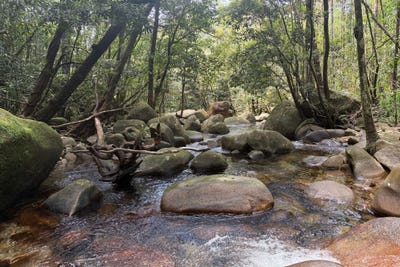 /international/au/45-stonewood-road-diwan-daintree-qld-204636808/